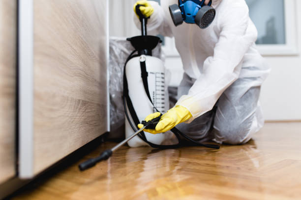 Best Wildlife Control Services  in East Providence, RI