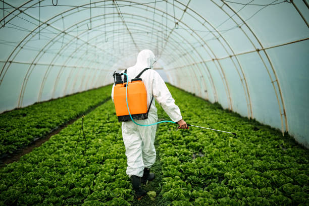 Best Pest Control Near Me  in East Providence, RI