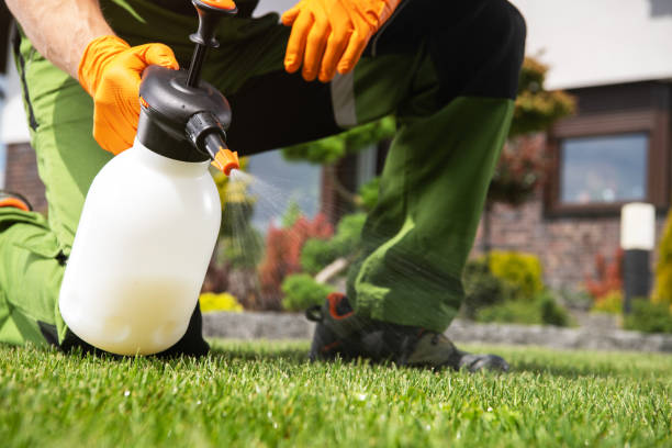 Best Pest Removal Services  in East Providence, RI