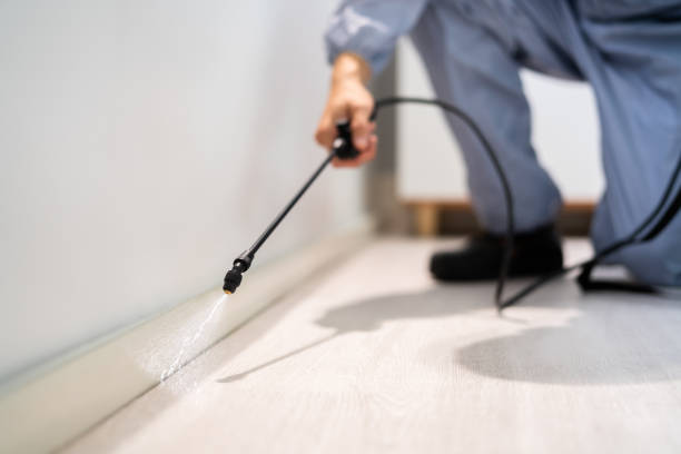 Best Pest Control Treatment  in East Providence, RI