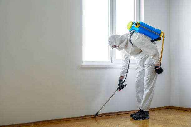 Best Affordable Pest Control Services  in East Providence, RI