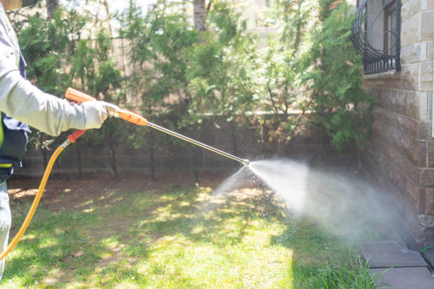 Best Exterminator Services  in East Providence, RI