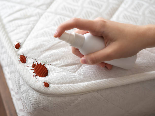 Best Pest Prevention Services  in East Providence, RI