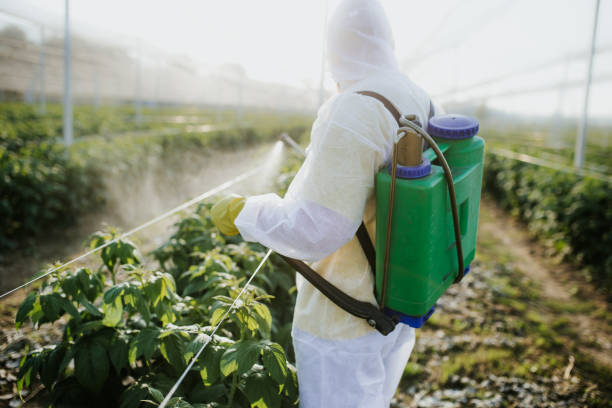 Reliable East Providence, RI Pest Control Solutions